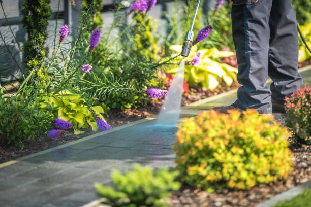 Best Animal Enclosure Cleaning  in Eufaula, OK